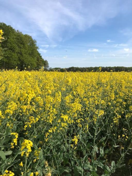 Maison De Campagne Hébergement de vacances *